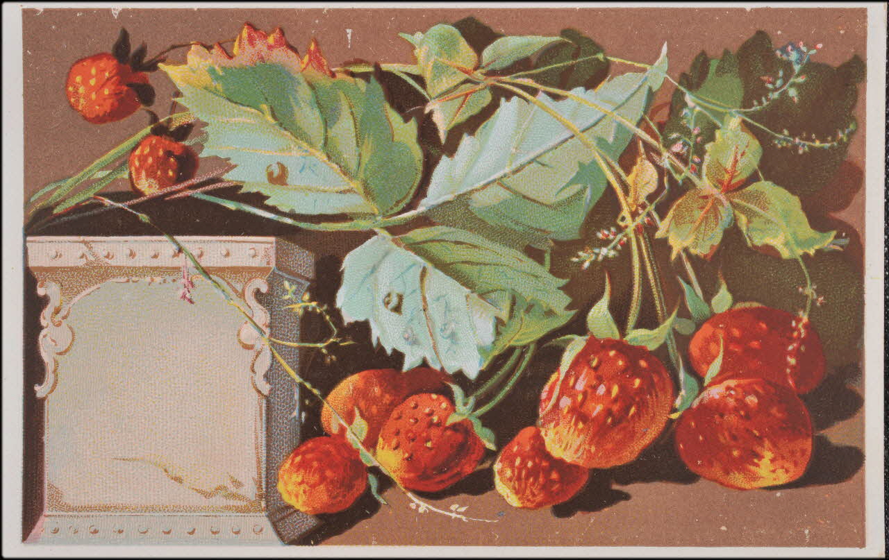 carte réclame chromo 1995.1.4555.1 Photo