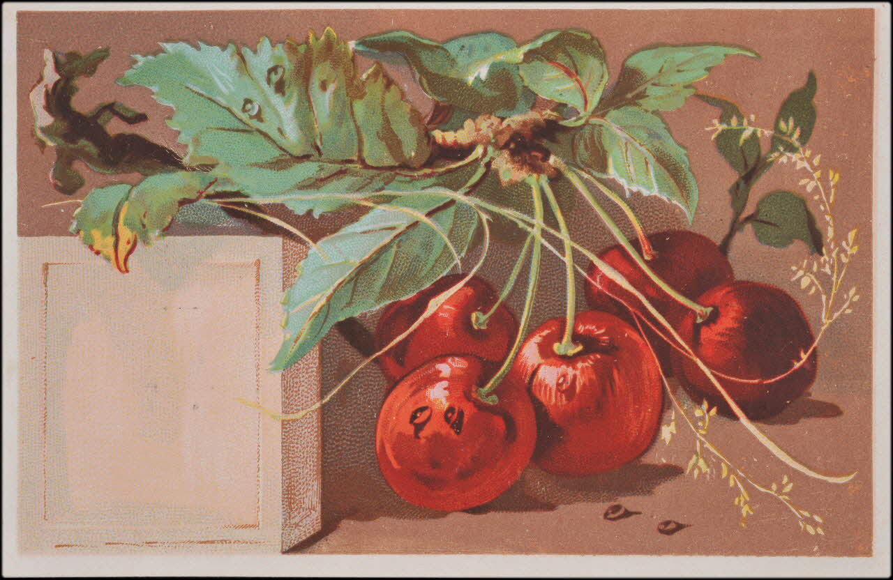 carte réclame chromo 1995.1.4555.2 Photo