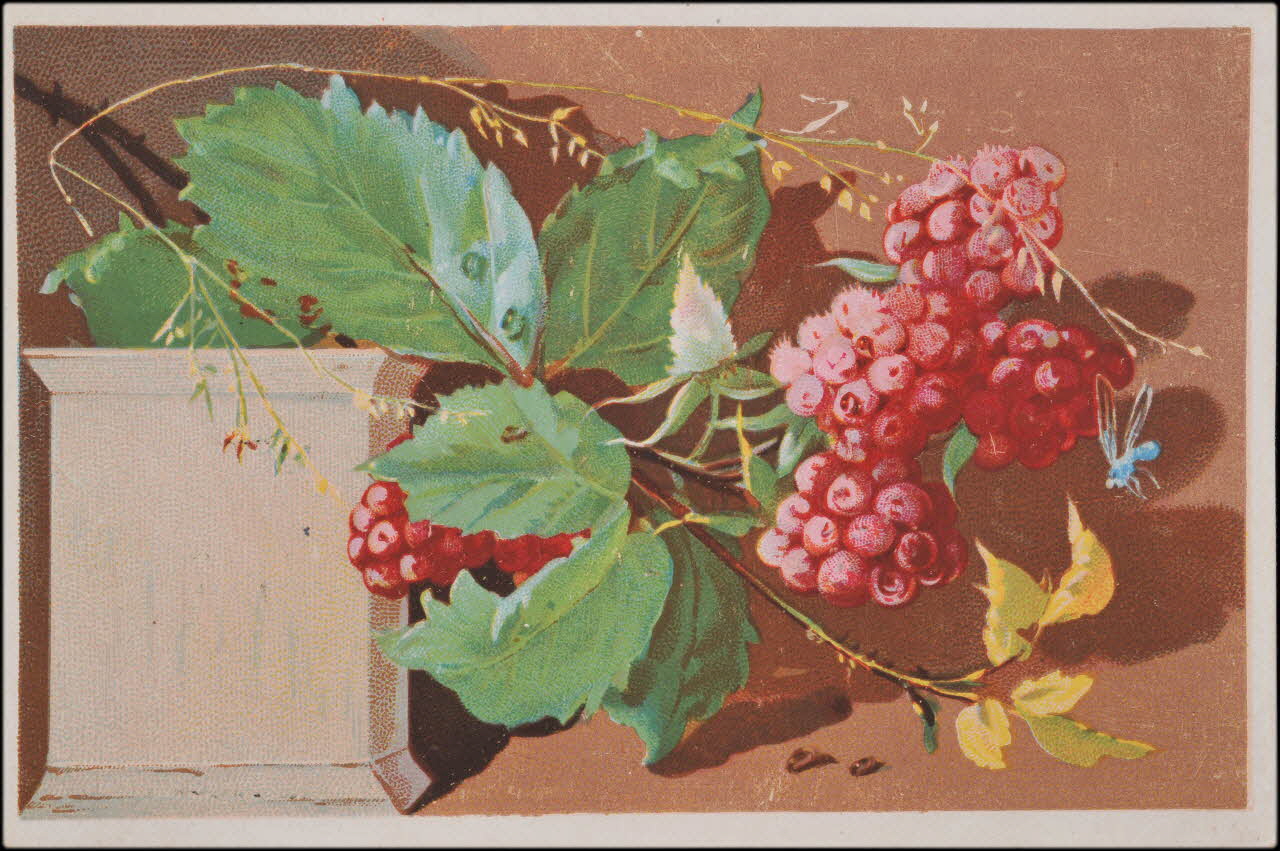 carte réclame chromo 1995.1.4555.4 Photo