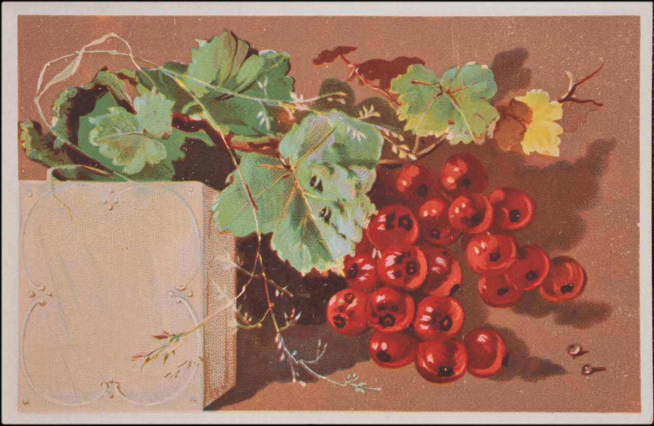 carte réclame chromo 1995.1.4555.5 Photo