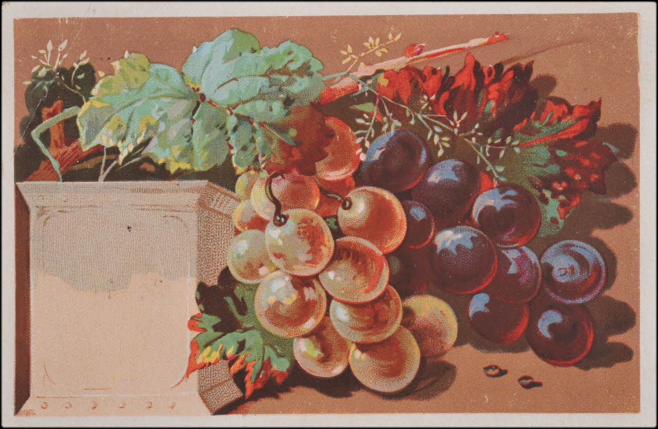 carte réclame chromo 1995.1.4555.6 Photo