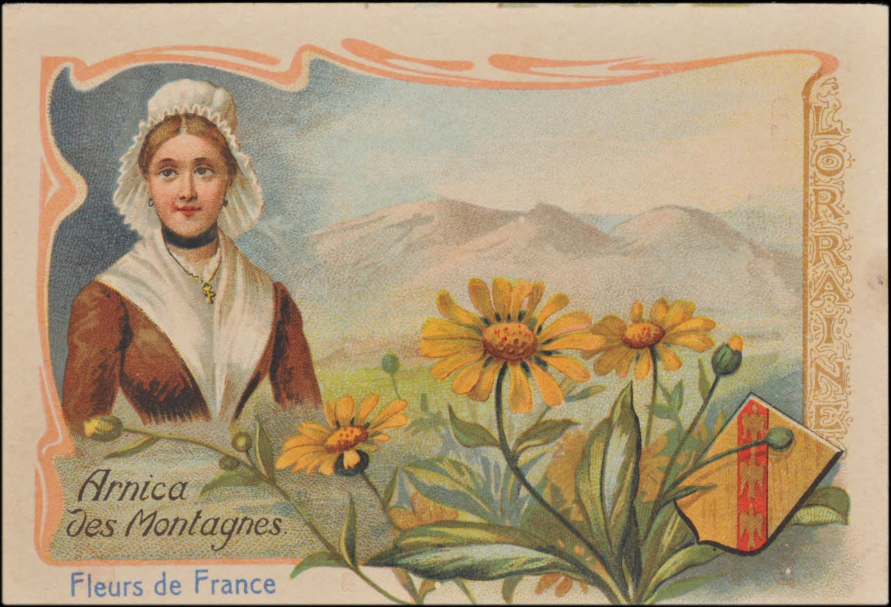 Romanet carte réclame chromo France 1877-1913 1995.1.464.4 Photo