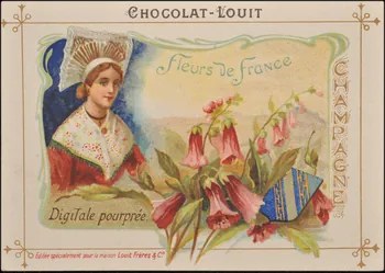 Romanet carte réclame chromo Paris 1877-1913 1995.1.464.8 Photo