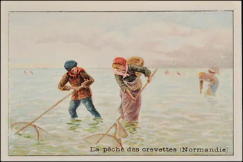 Romanet carte réclame chromo Paris 1877-1913 1995.1.473.12 Photo