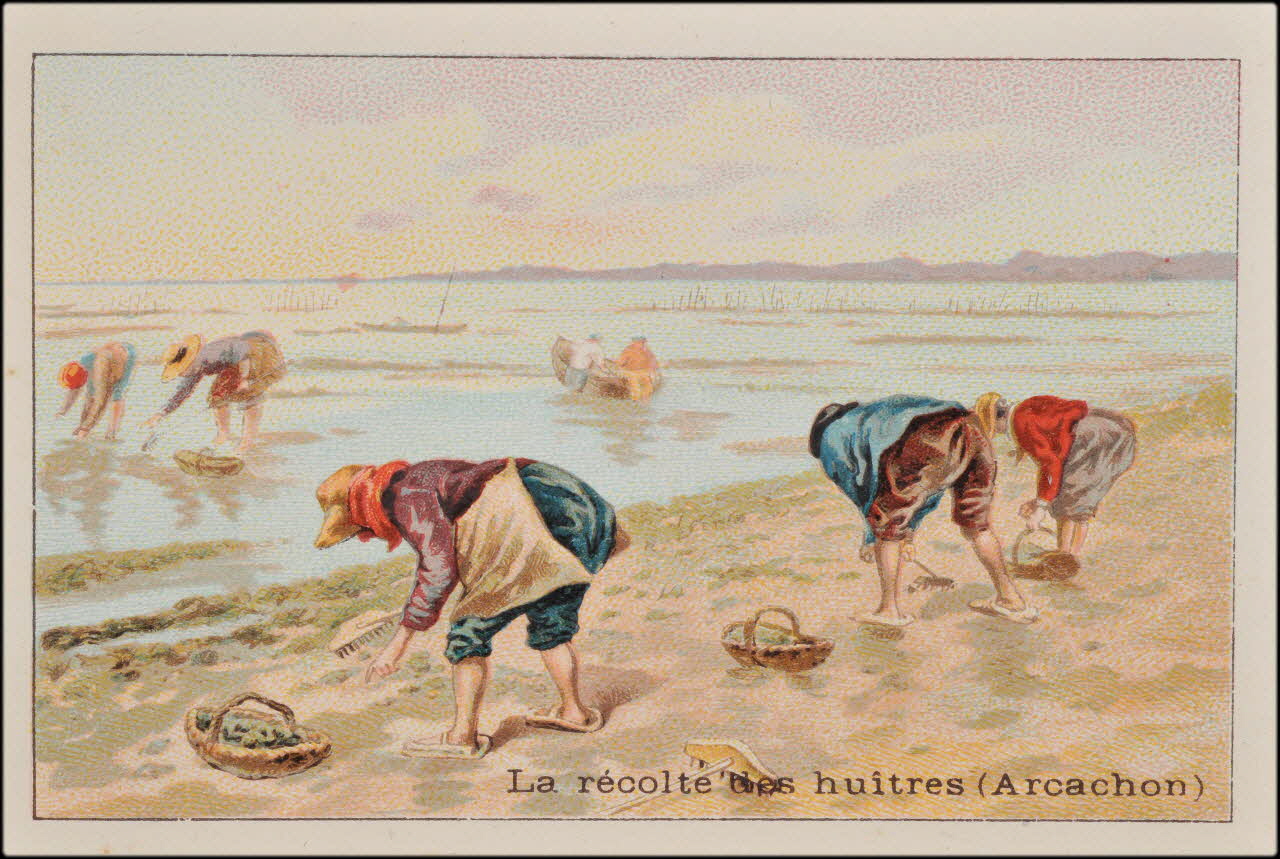 Romanet carte réclame chromo Paris 1877-1913 1995.1.473.23 Photo