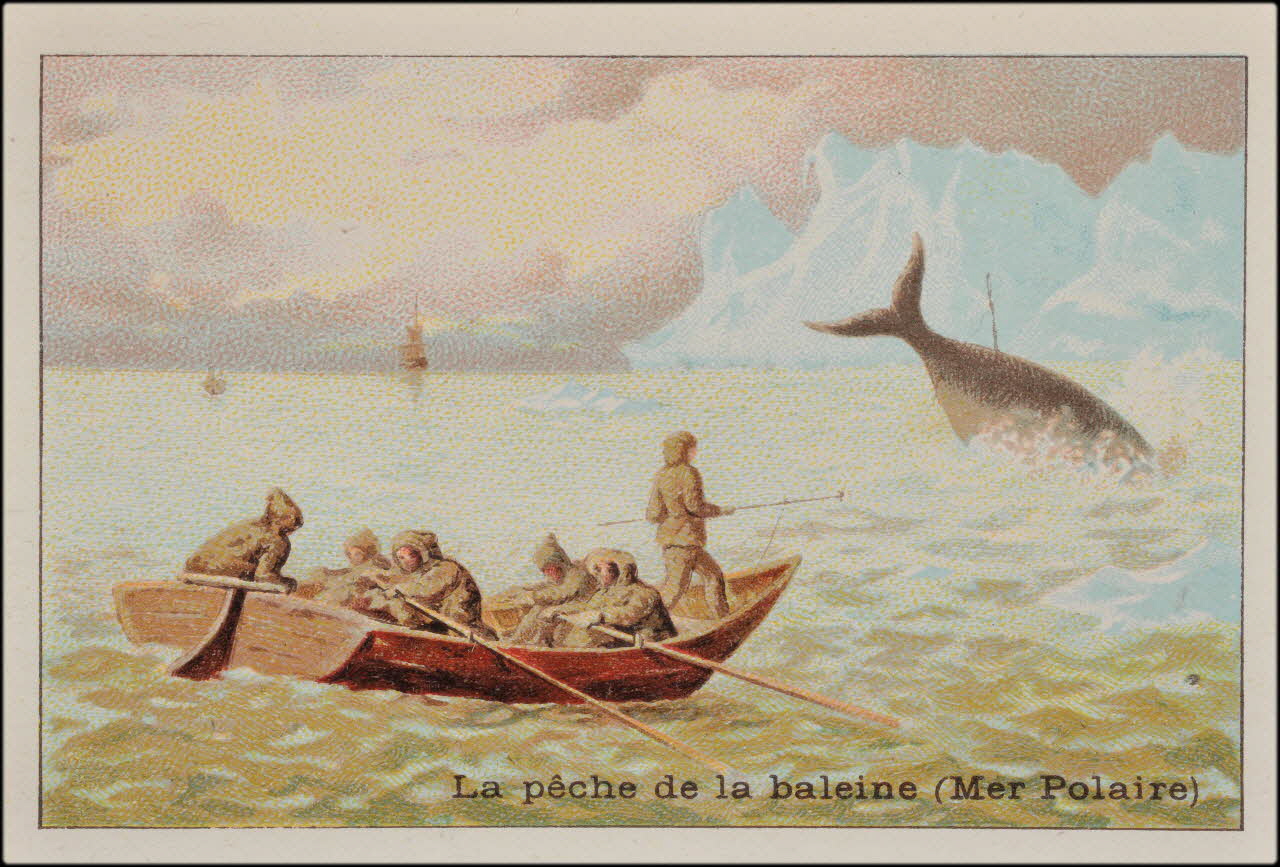 Romanet carte réclame chromo Paris 1877-1913 1995.1.473.9 Photo