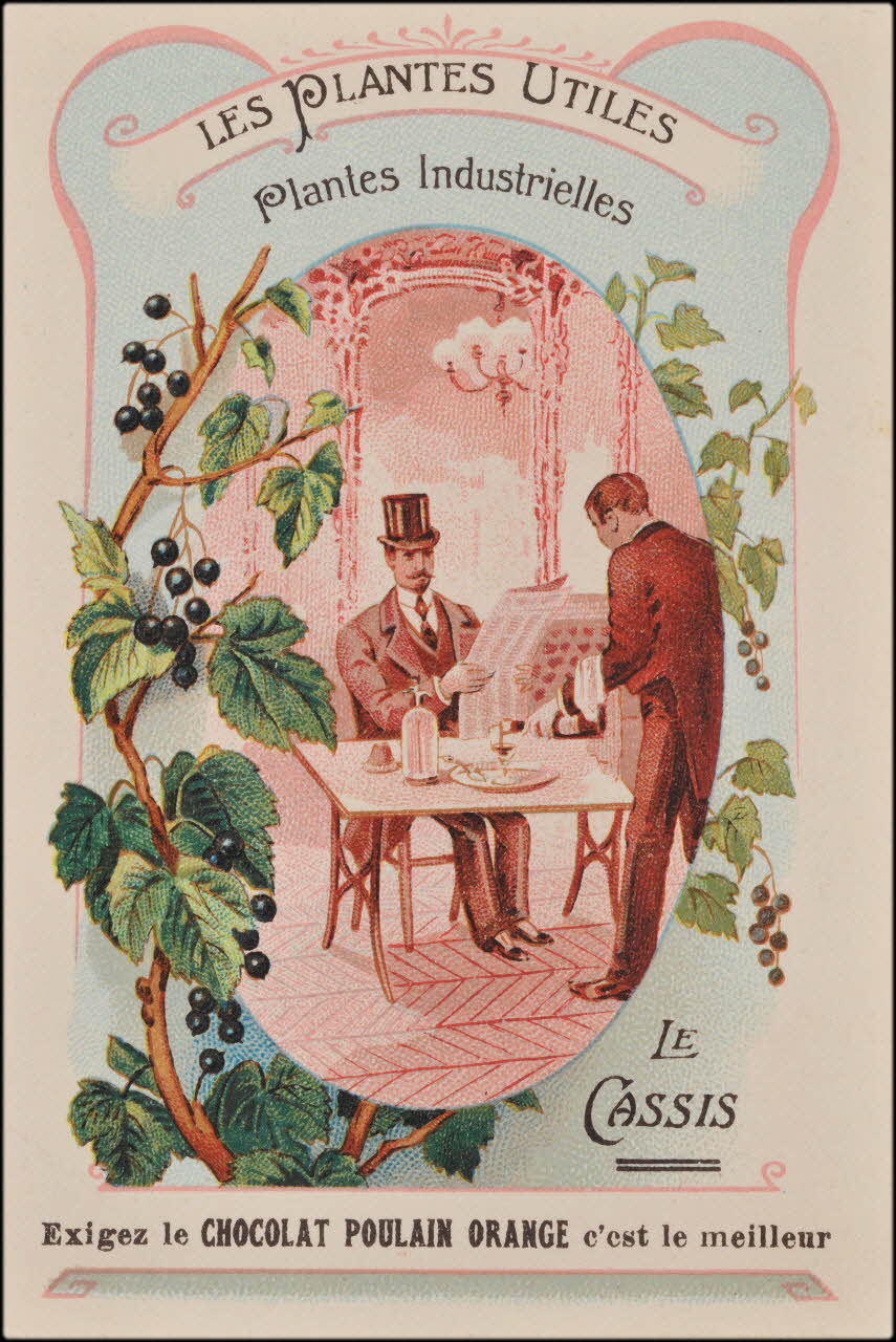 carte réclame chromo 1995.1.621.5 Photo