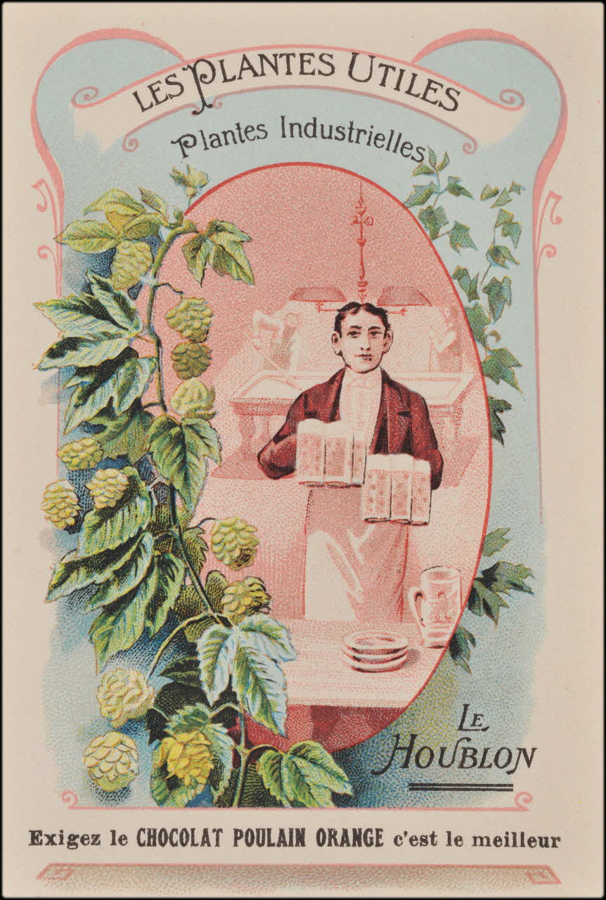 carte réclame chromo 1995.1.621.7 Photo