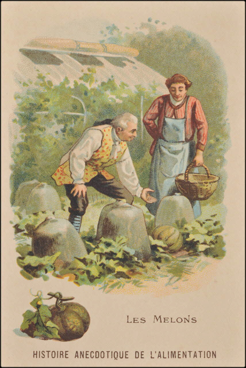 carte réclame chromo 1995.1.624.25 Photo