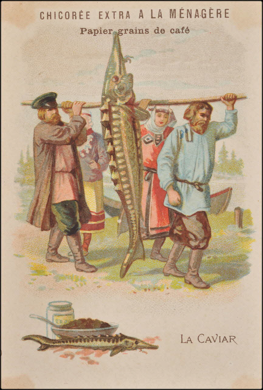 carte réclame chromo 1995.1.624.8 Photo