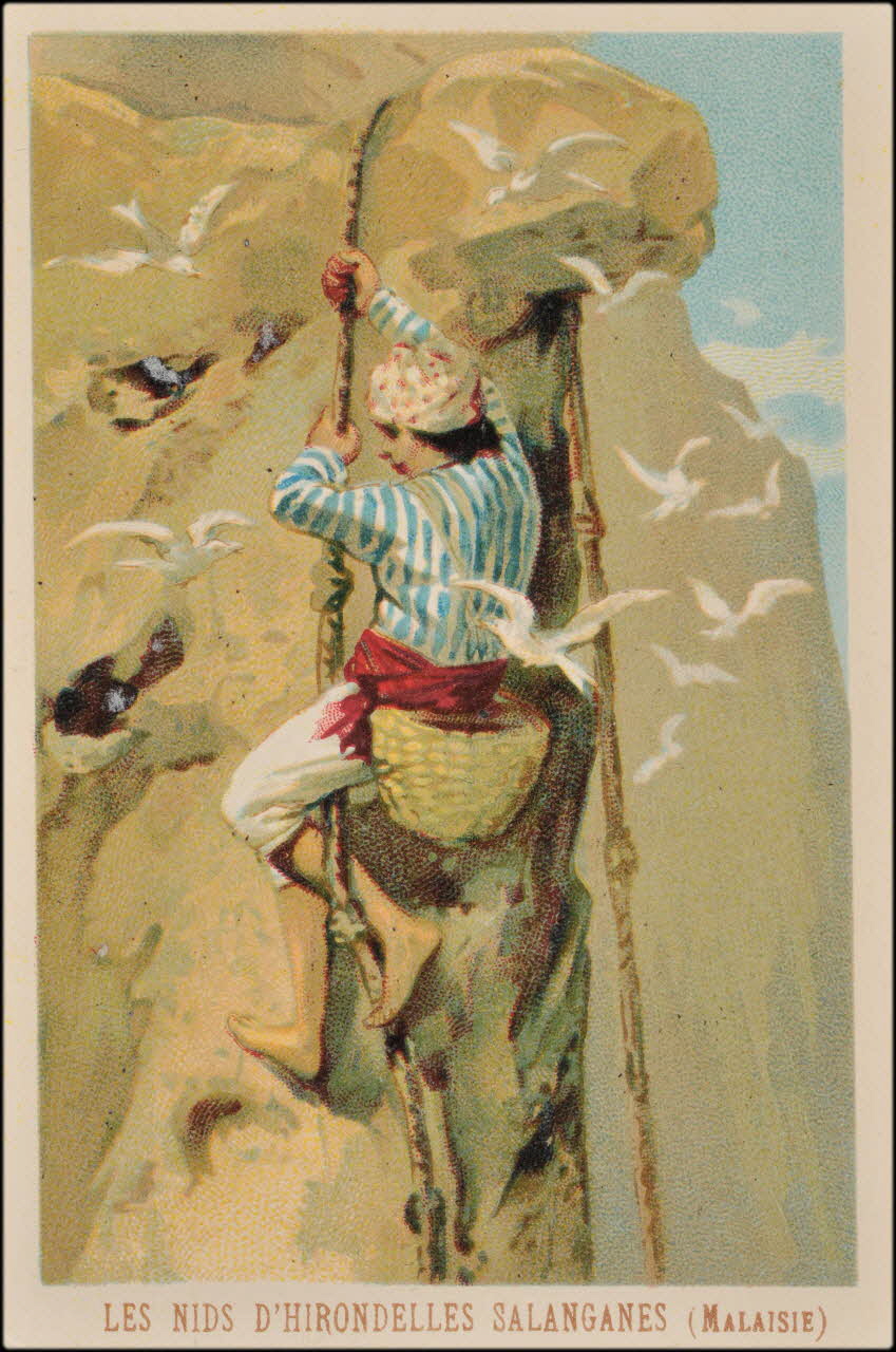 carte réclame chromo 1995.1.636.12 Photo