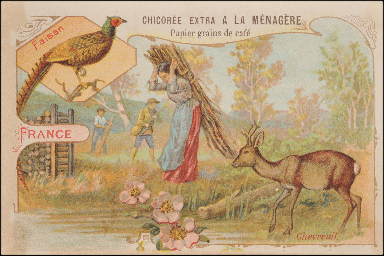 Romanet carte réclame chromo Paris 1877-1907 1995.1.657.12 Photo