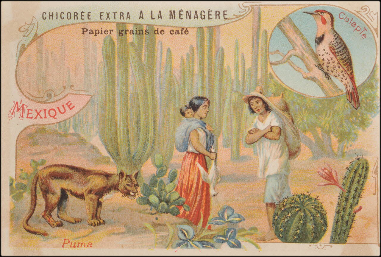 Romanet carte réclame chromo Paris 1877-1907 1995.1.657.21 Photo