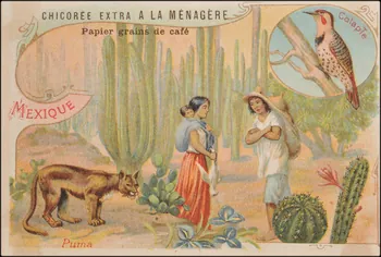 Romanet carte réclame chromo Paris 1877-1907 1995.1.657.21  Photo