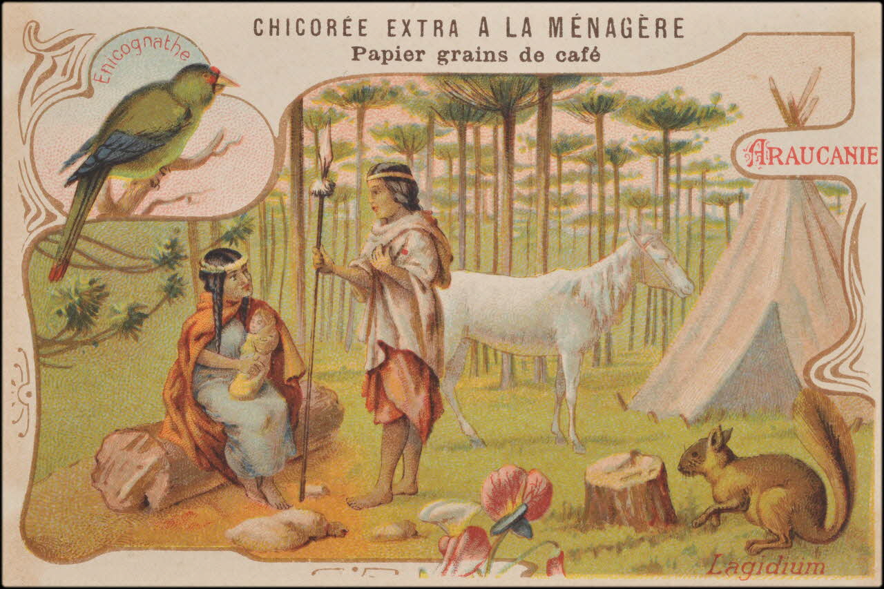 Romanet carte réclame chromo Paris 1877-1907 1995.1.657.4 Photo