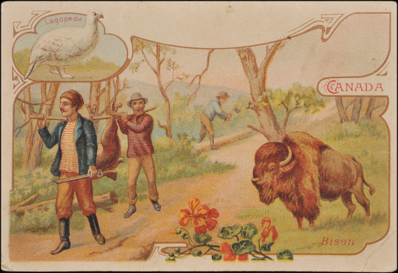 Romanet carte réclame chromo Paris 1877-1907 1995.1.657.8 Photo