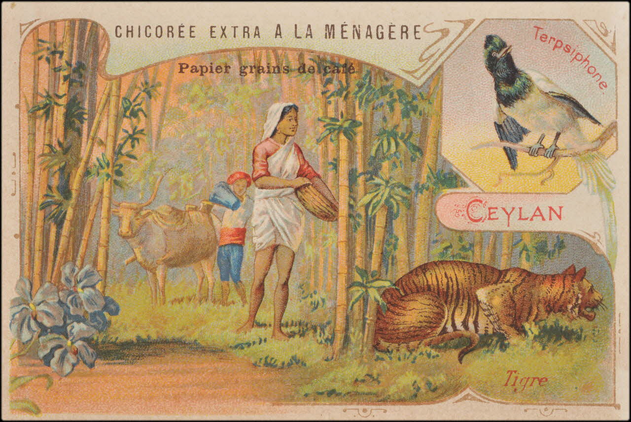 Romanet carte réclame chromo Paris 1877-1907 1995.1.657.9 Photo