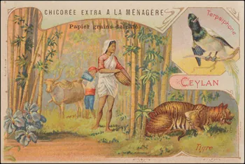 Romanet carte réclame chromo Paris 1877-1907 1995.1.657.9 Photo