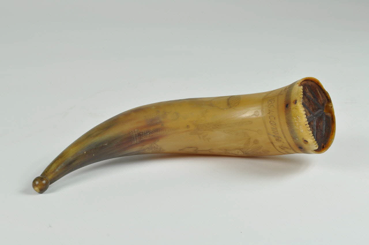 corne bano France 1854 1890.5.9 Photo Mucem