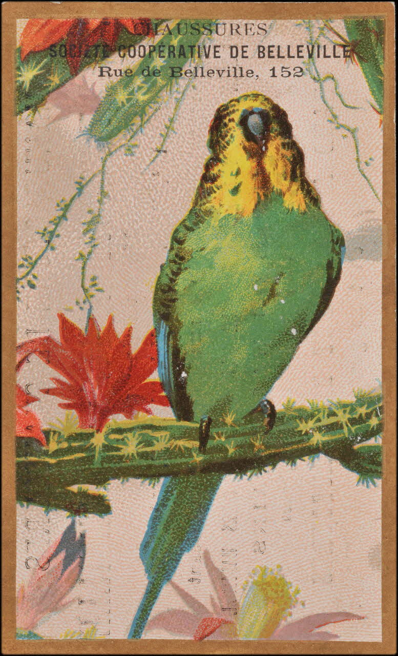 Romanet carte réclame chromo Paris 1877-1907 1995.1.742.1 Photo