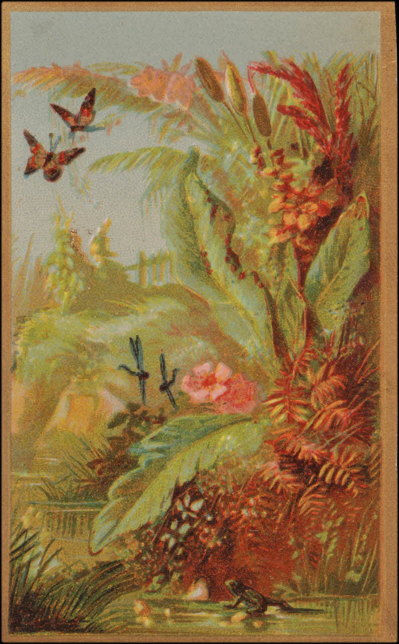 Romanet carte réclame chromo Paris 1877-1907 1995.1.745.1 Photo