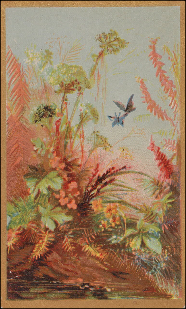 Romanet carte réclame chromo Paris 1877-1907 1995.1.745.2 Photo