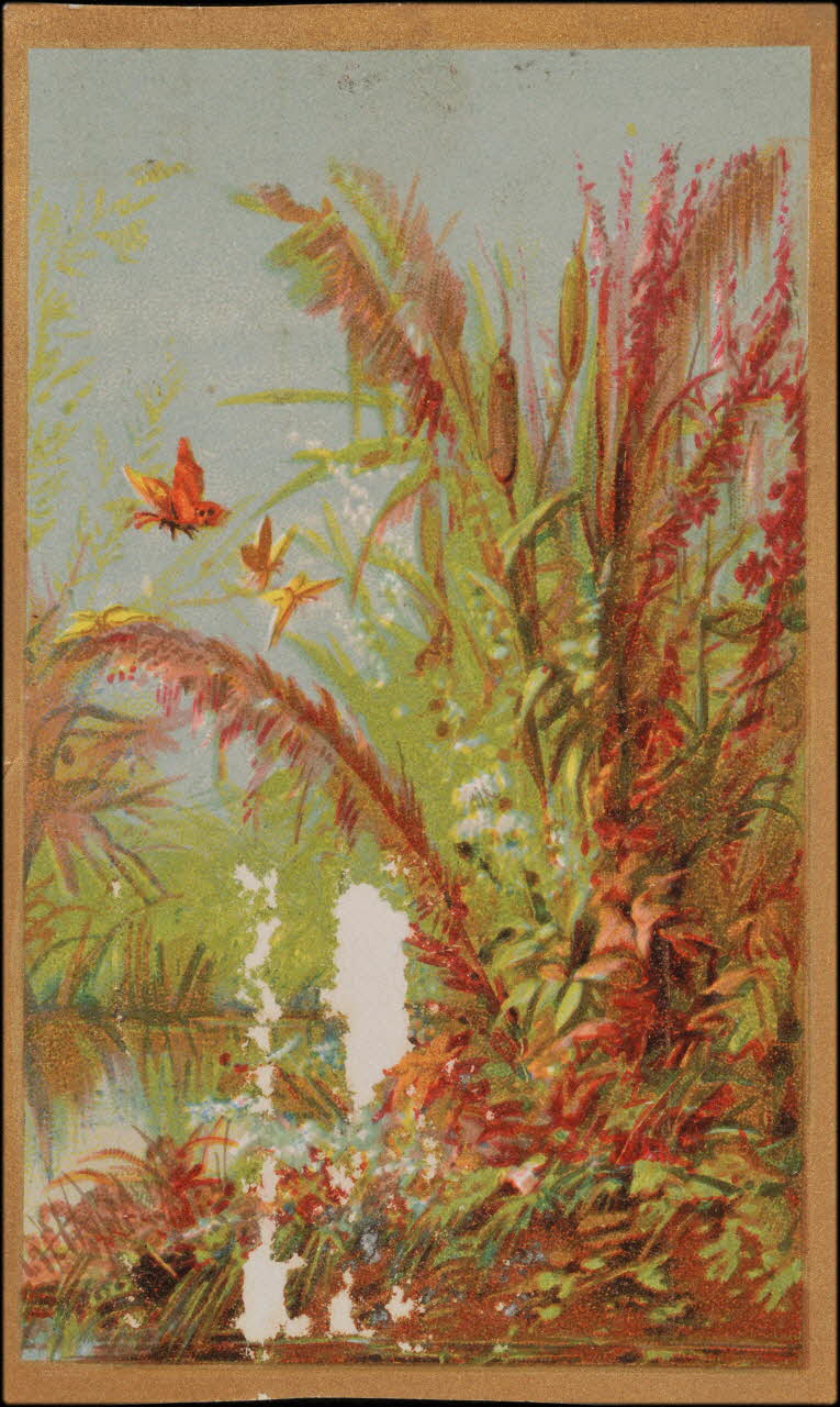 Romanet carte réclame chromo Paris 1877-1907 1995.1.745.3 Photo