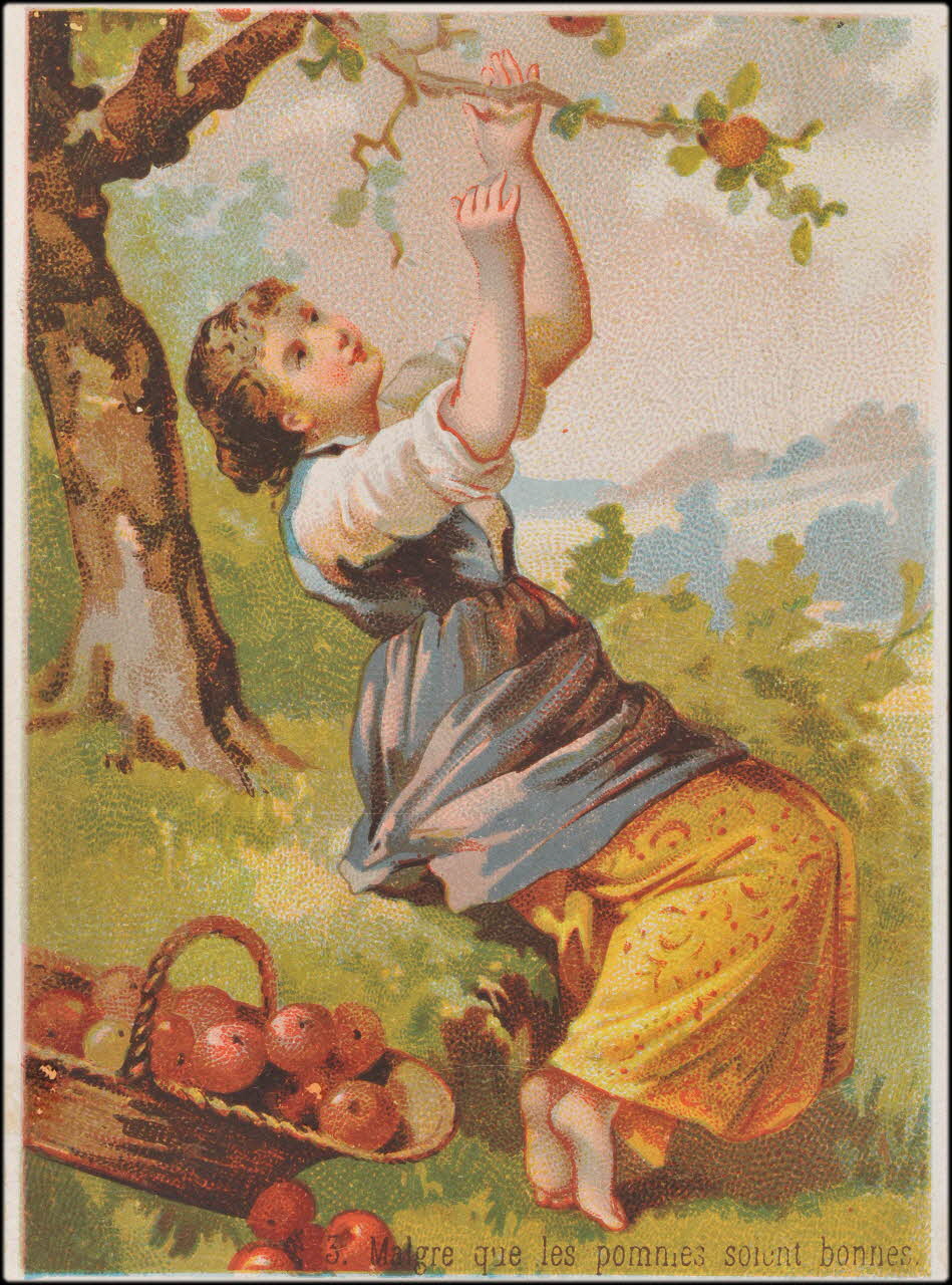 Romanet carte réclame chromo Paris 1877-1907 1995.1.773.3 Photo