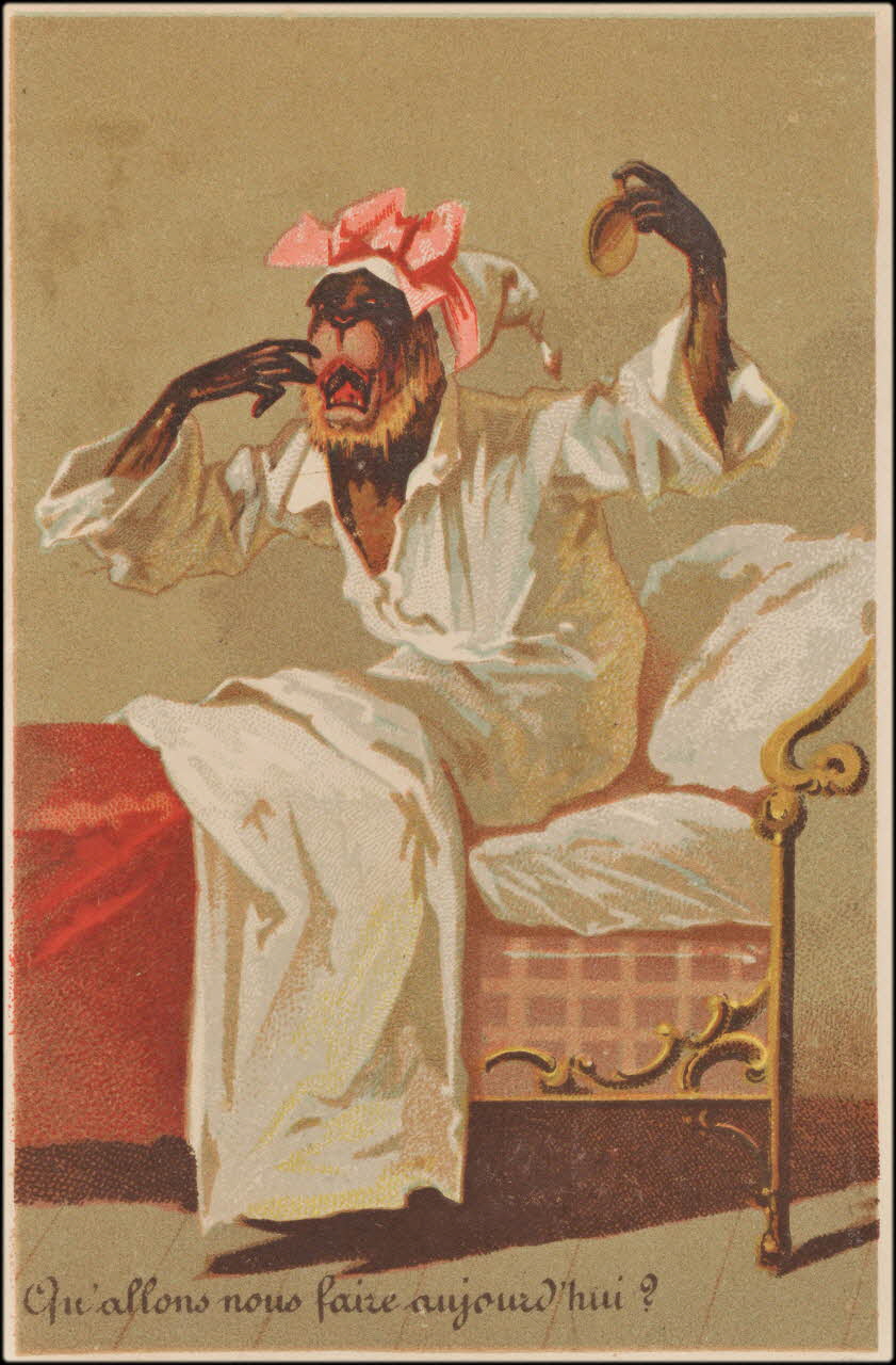 Romanet carte réclame chromo Paris 1877-1907 1995.1.792.7 Photo