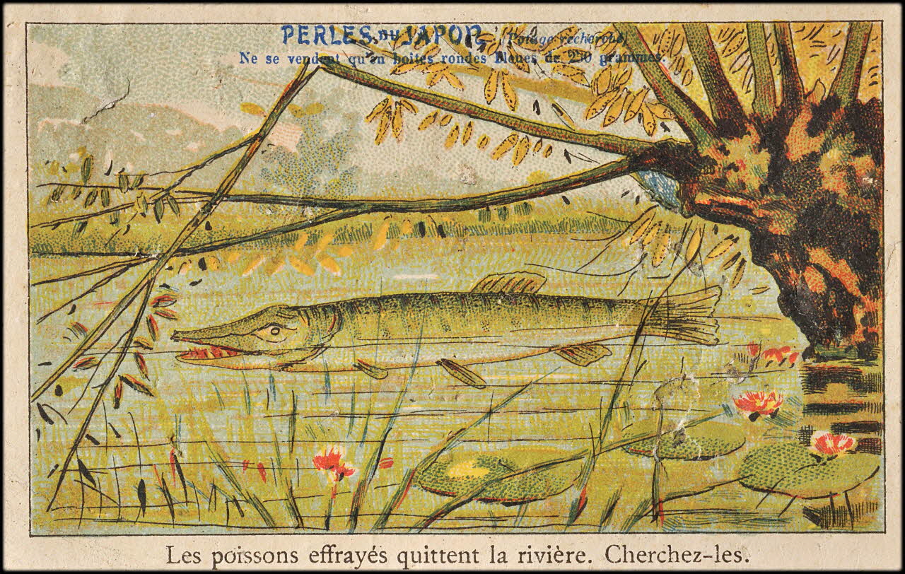 Baster & Vieillemard carte réclame chromo Paris 1900-1906 1995.1.864.19  Photo