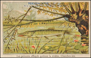 Baster & Vieillemard carte réclame chromo Paris 1900-1906 1995.1.864.19 Photo