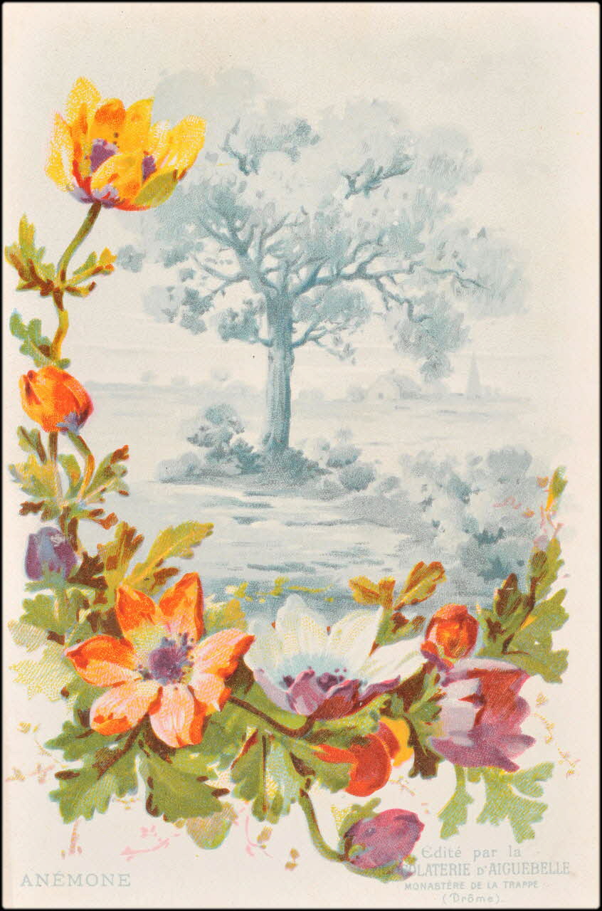 Edition de la Chocolaterie d'Aiguebelle ; Baster & Vieillemard carte réclame chromo 1878-1914 1996.40.1114.1 Photo