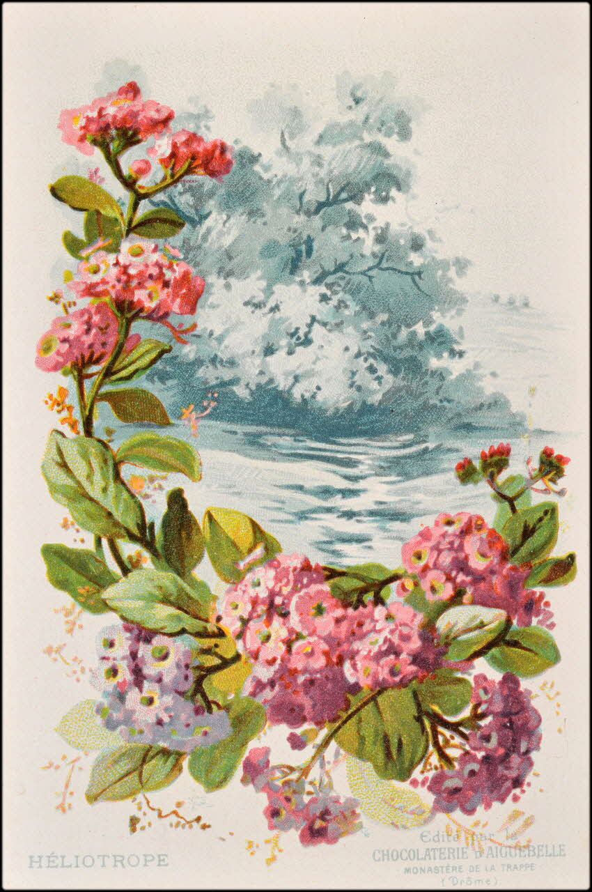 Edition de la Chocolaterie d'Aiguebelle ; Baster & Vieillemard carte réclame chromo 1878-1914 1996.40.1114.12 Photo