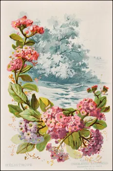 Edition de la Chocolaterie d'Aiguebelle ; Baster & Vieillemard carte réclame chromo 1878-1914 1996.40.1114.12 Photo