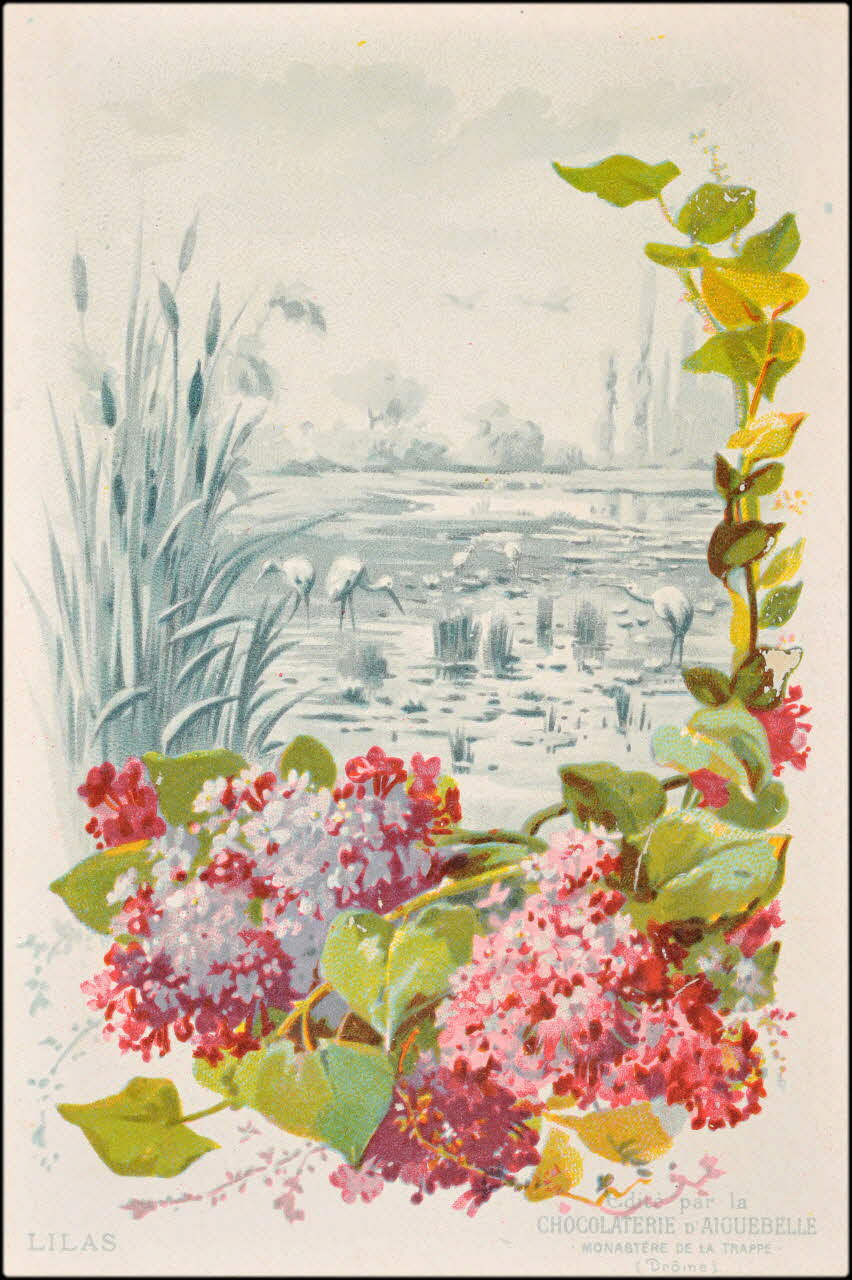 Edition de la Chocolaterie d'Aiguebelle ; Baster & Vieillemard carte réclame chromo 1878-1914 1996.40.1114.14 Photo