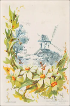 Edition de la Chocolaterie d'Aiguebelle ; Baster & Vieillemard carte réclame chromo 1878-1914 1996.40.1114.18  Photo