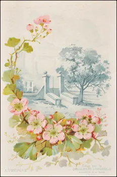 Edition de la Chocolaterie d'Aiguebelle ; Baster & Vieillemard carte réclame chromo 1878-1914 1996.40.1114.2  Photo