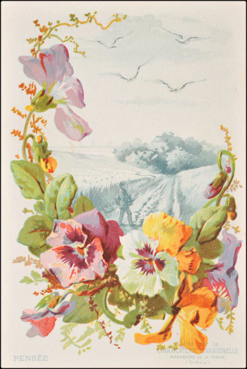 Edition de la Chocolaterie d'Aiguebelle ; Baster & Vieillemard carte réclame chromo 1878-1914 1996.40.1114.20 Photo