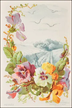 Edition de la Chocolaterie d'Aiguebelle ; Baster & Vieillemard carte réclame chromo 1878-1914 1996.40.1114.20  Photo
