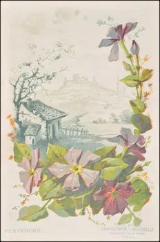 Edition de la Chocolaterie d'Aiguebelle ; Baster & Vieillemard carte réclame chromo 1878-1914 1996.40.1114.21  Photo