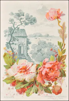 Edition de la Chocolaterie d'Aiguebelle ; Baster & Vieillemard carte réclame chromo 1878-1914 1996.40.1114.22  Photo