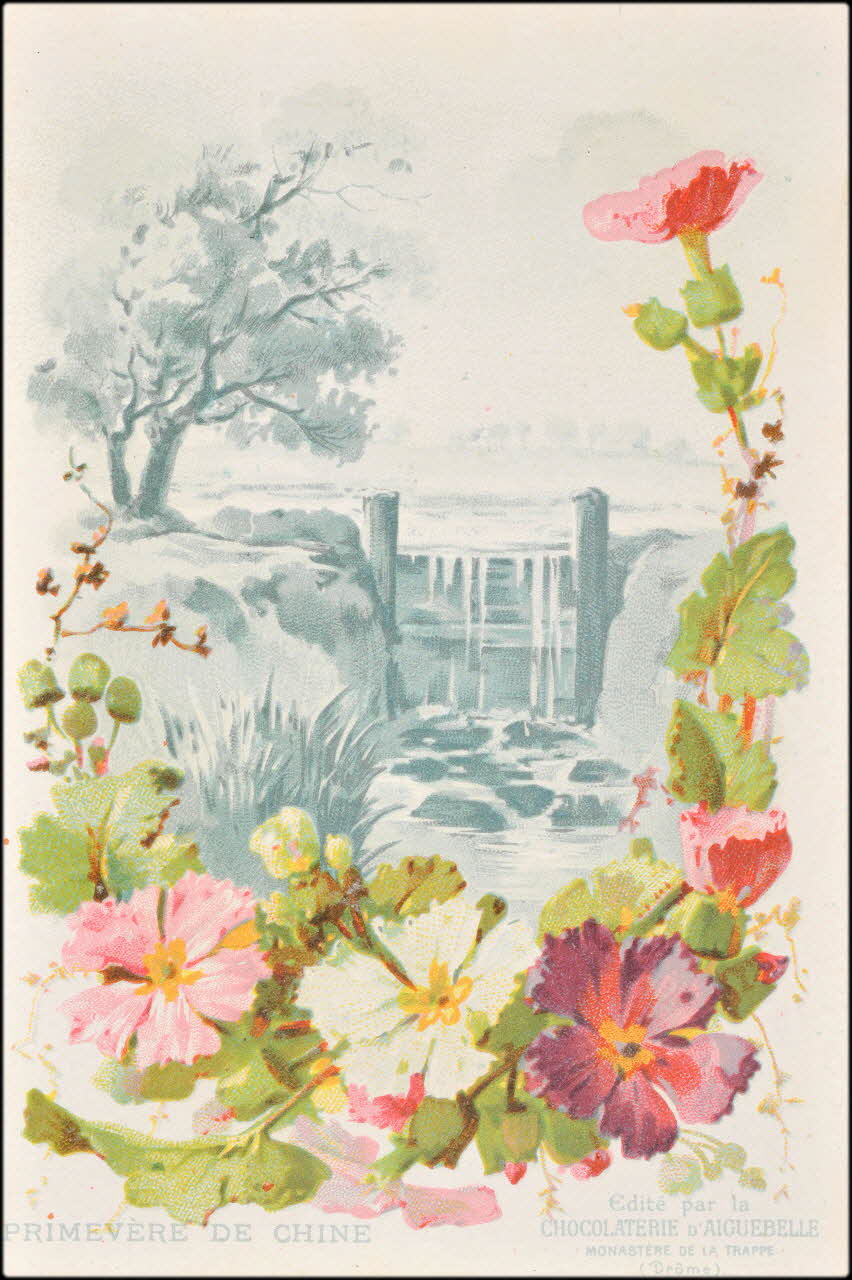 Edition de la Chocolaterie d'Aiguebelle ; Baster & Vieillemard carte réclame chromo 1878-1914 1996.40.1114.24 Photo