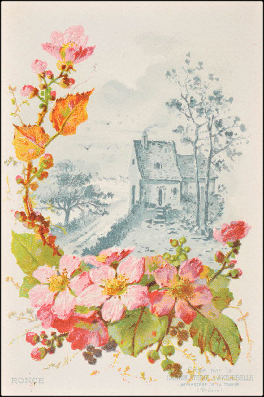 Edition de la Chocolaterie d'Aiguebelle ; Baster & Vieillemard carte réclame chromo 1878-1914 1996.40.1114.25 Photo