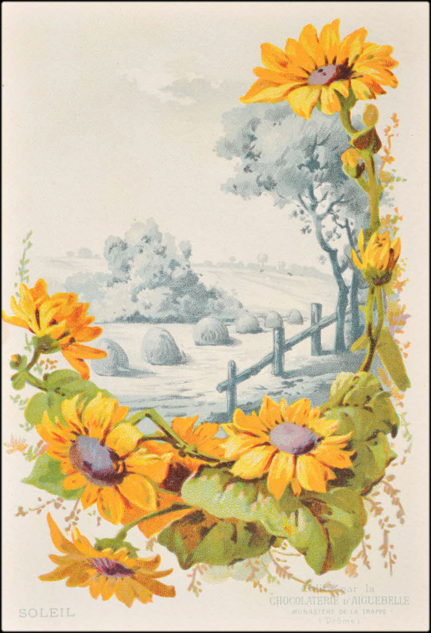 Edition de la Chocolaterie d'Aiguebelle ; Baster & Vieillemard carte réclame chromo 1878-1914 1996.40.1114.27 Photo