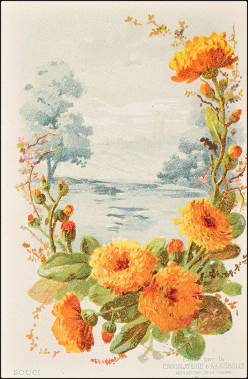 Edition de la Chocolaterie d'Aiguebelle ; Baster & Vieillemard carte réclame chromo 1878-1914 1996.40.1114.28 Photo