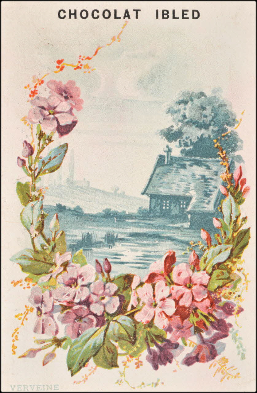 Baster & Vieillemard carte réclame chromo Paris 1878-1914 1996.40.1114.29 Photo