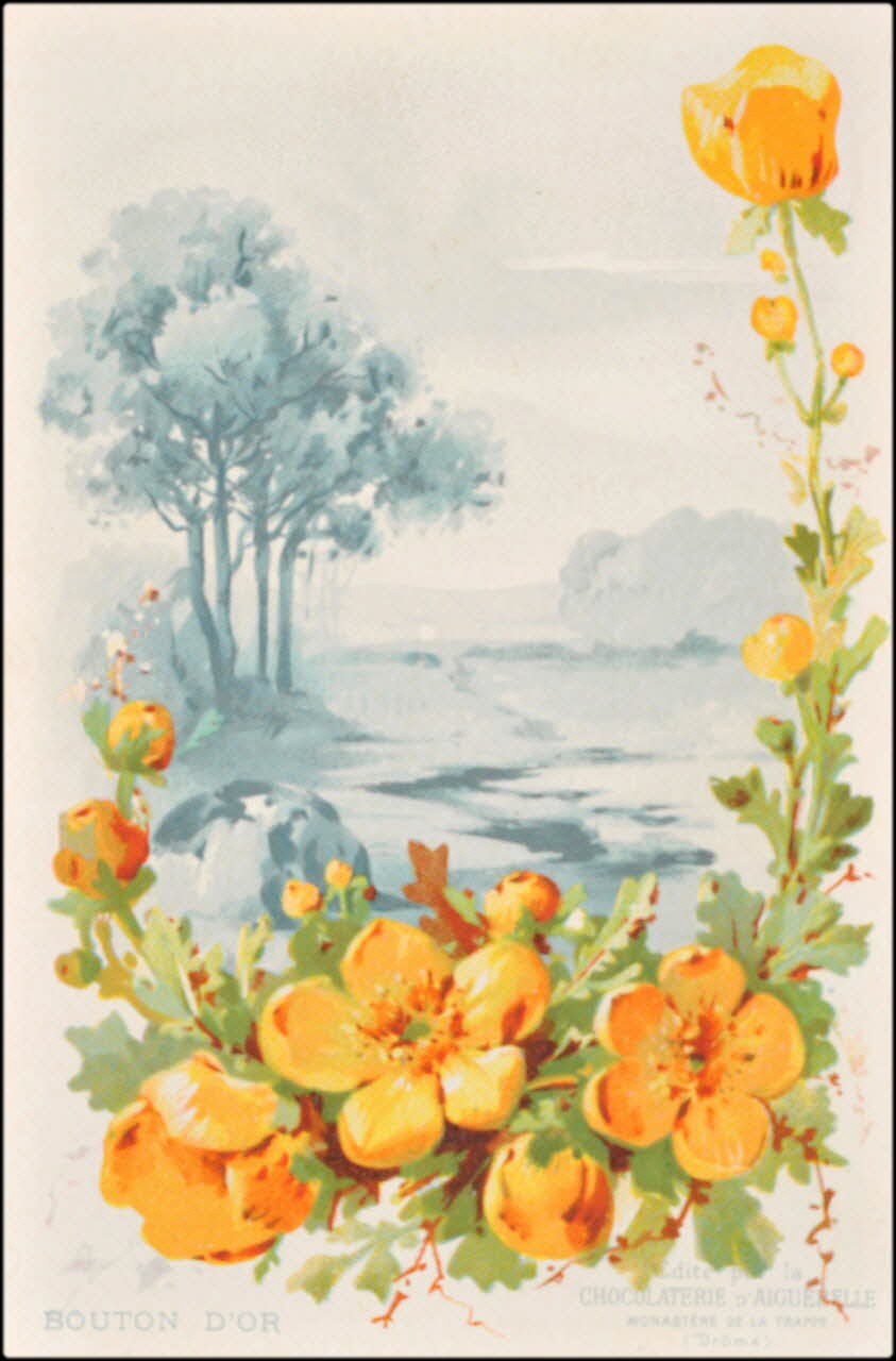 Edition de la Chocolaterie d'Aiguebelle ; Baster & Vieillemard carte réclame chromo 1878-1914 1996.40.1114.3 Photo