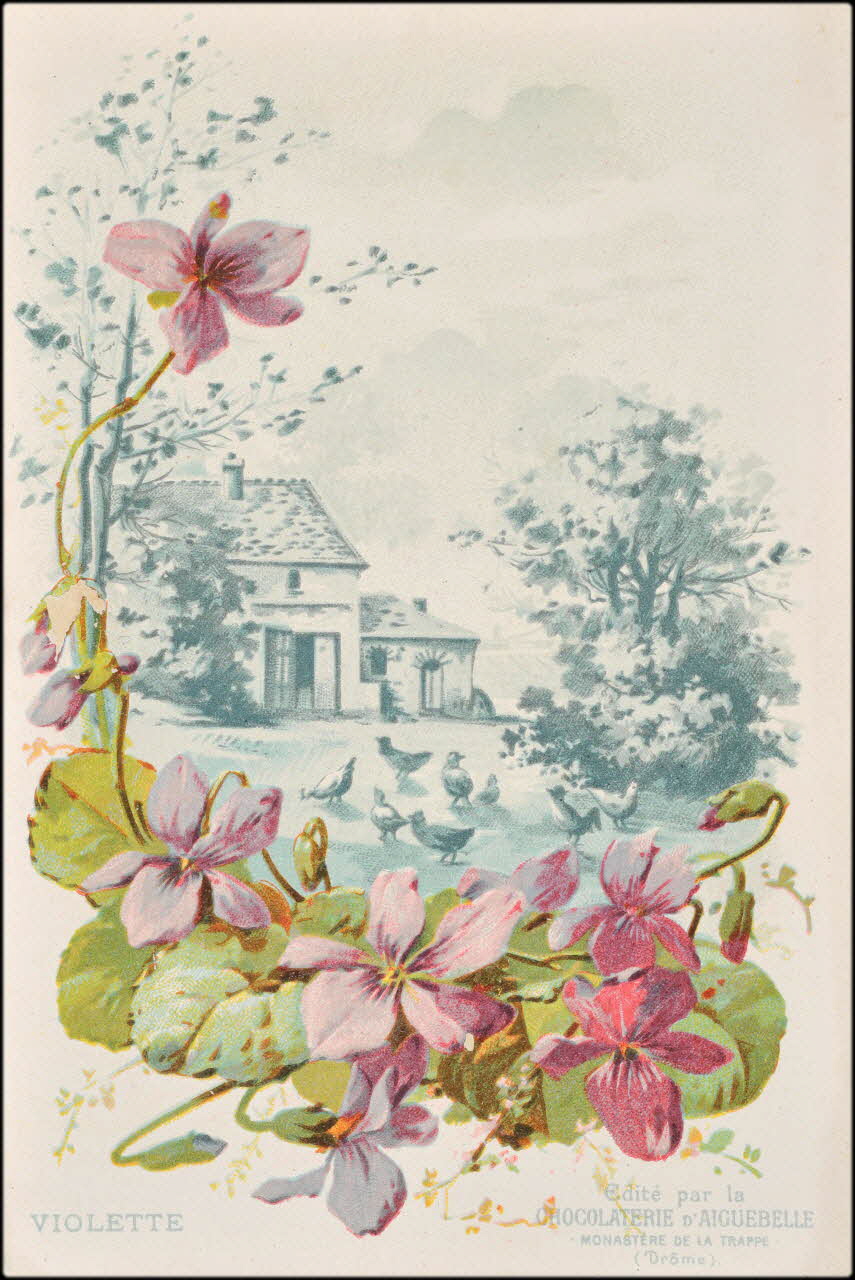 Edition de la Chocolaterie d'Aiguebelle ; Baster & Vieillemard carte réclame chromo 1878-1914 1996.40.1114.30 Photo