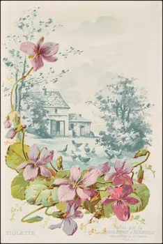 Edition de la Chocolaterie d'Aiguebelle ; Baster & Vieillemard carte réclame chromo 1878-1914 1996.40.1114.30 Photo