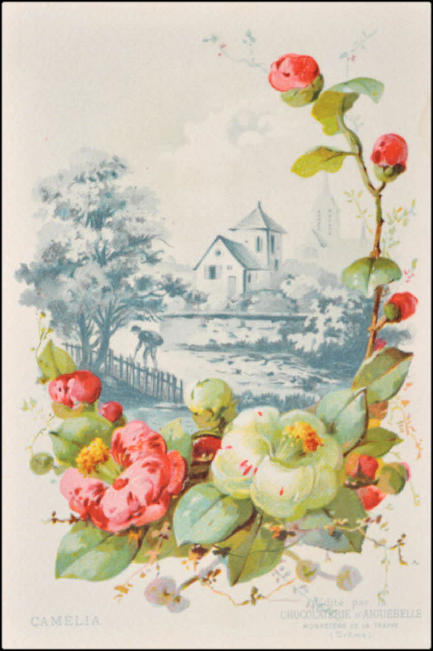 Edition de la Chocolaterie d'Aiguebelle ; Baster & Vieillemard carte réclame chromo 1878-1914 1996.40.1114.4  Photo